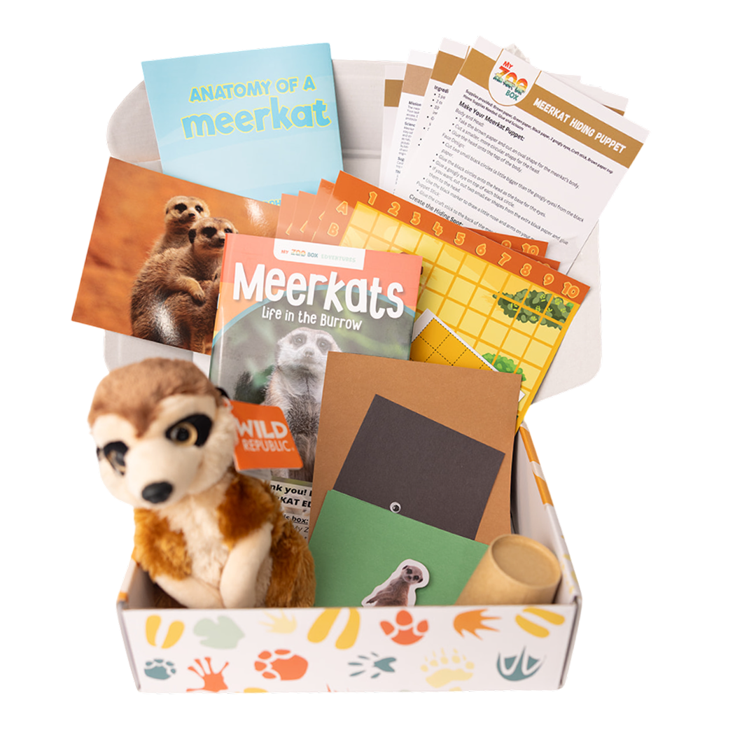 Kids' Zoology Club Boxes | My ZOO Box
