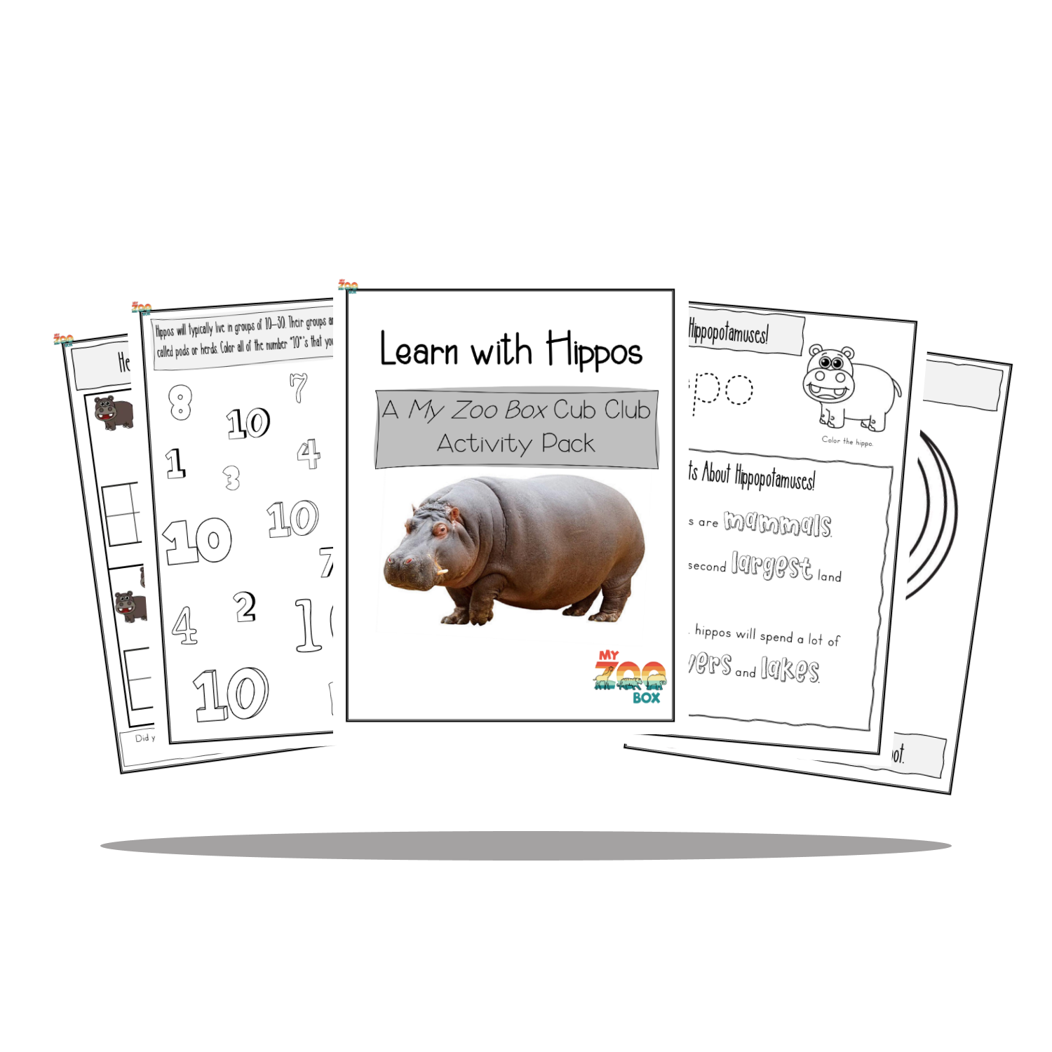 Kids' Zoology Club Boxes | My ZOO Box